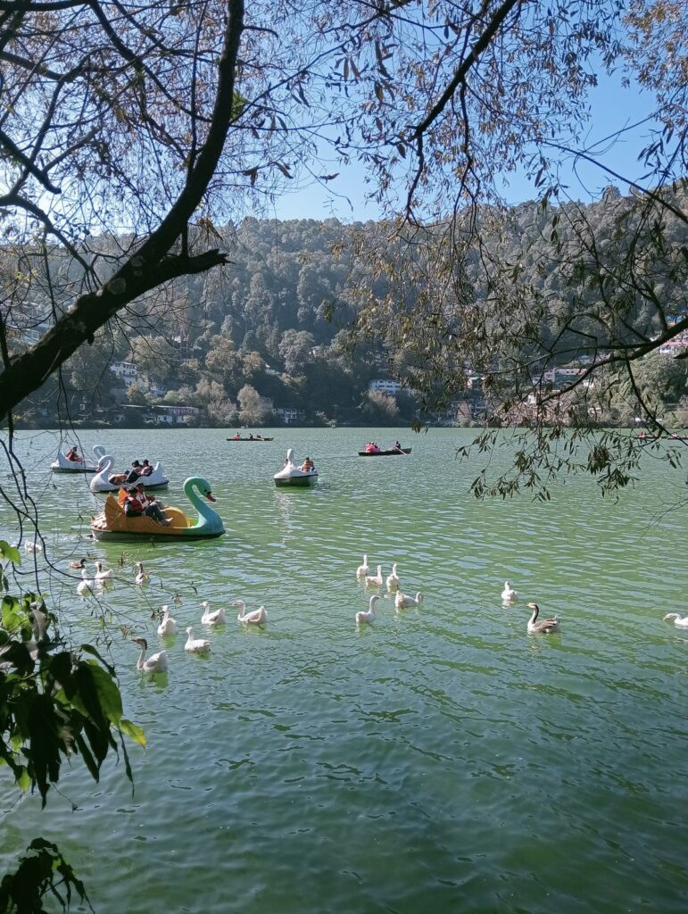 "A lone feather lying gently on a forest trail near Nainital, capturing the quiet beauty and hidden treasures of nature waiting to be discovered."