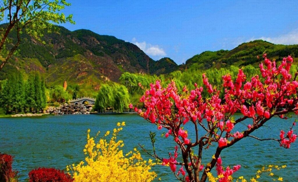 "Perfect holiday scenery in Nainital, Uttarakhand - serene Naini Lake reflecting towering mountains, lush pine trees, and vibrant wildflowers along the shoreline"