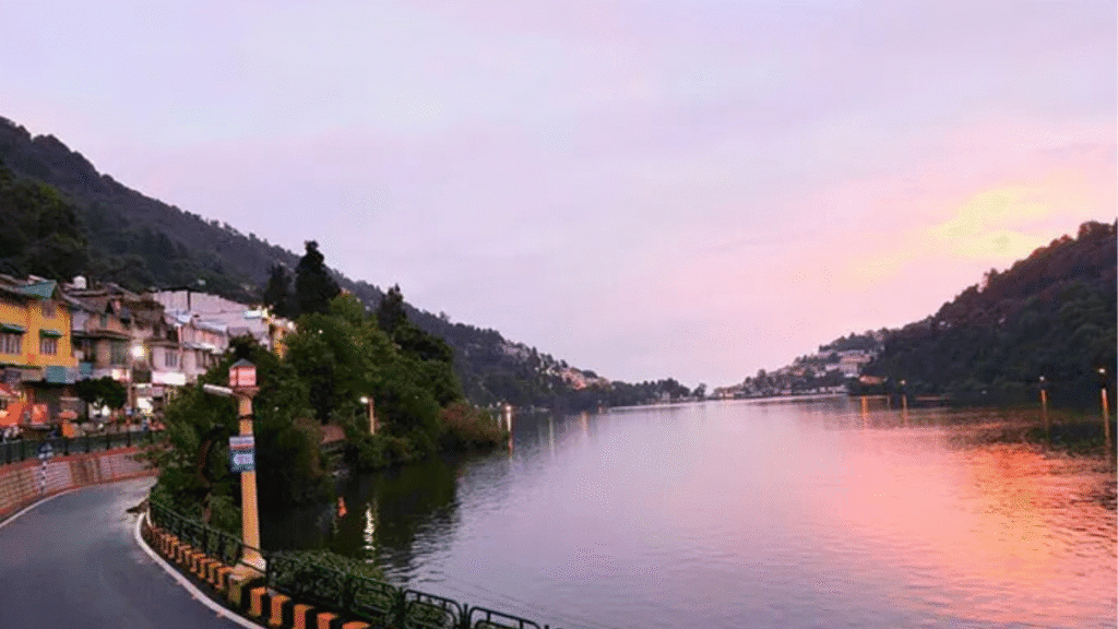"A close-up of a wet feather lying on moss-covered rocks, with misty hills in the background, captured during Nainital’s monsoon season."