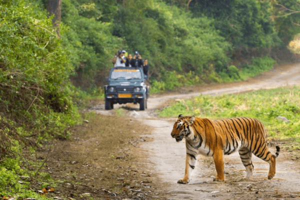 Nainital hill station with Jim Corbett wildlife safari tour package