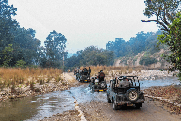 Jim Corbett jeep safari. Affordable Nainital and Corbett 3N/4D tour package