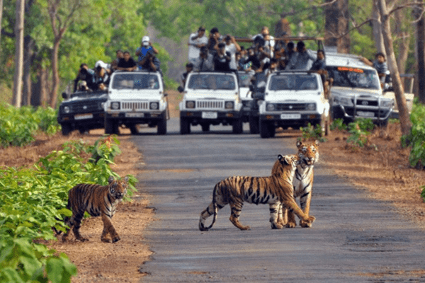 Extended 6N/7D Nainital, Corbett, and Delhi tour