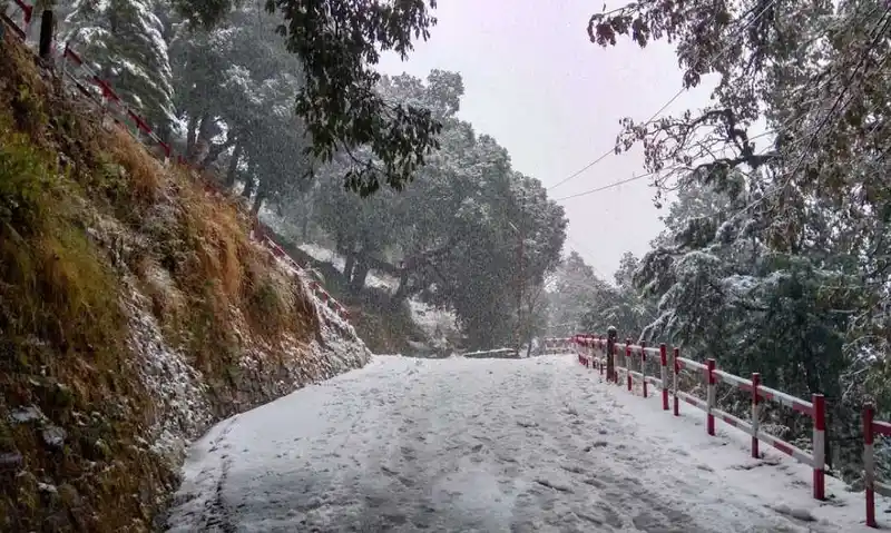 Foggy road on the Pantnagar-Nainital route or snow-covered approach during winter.