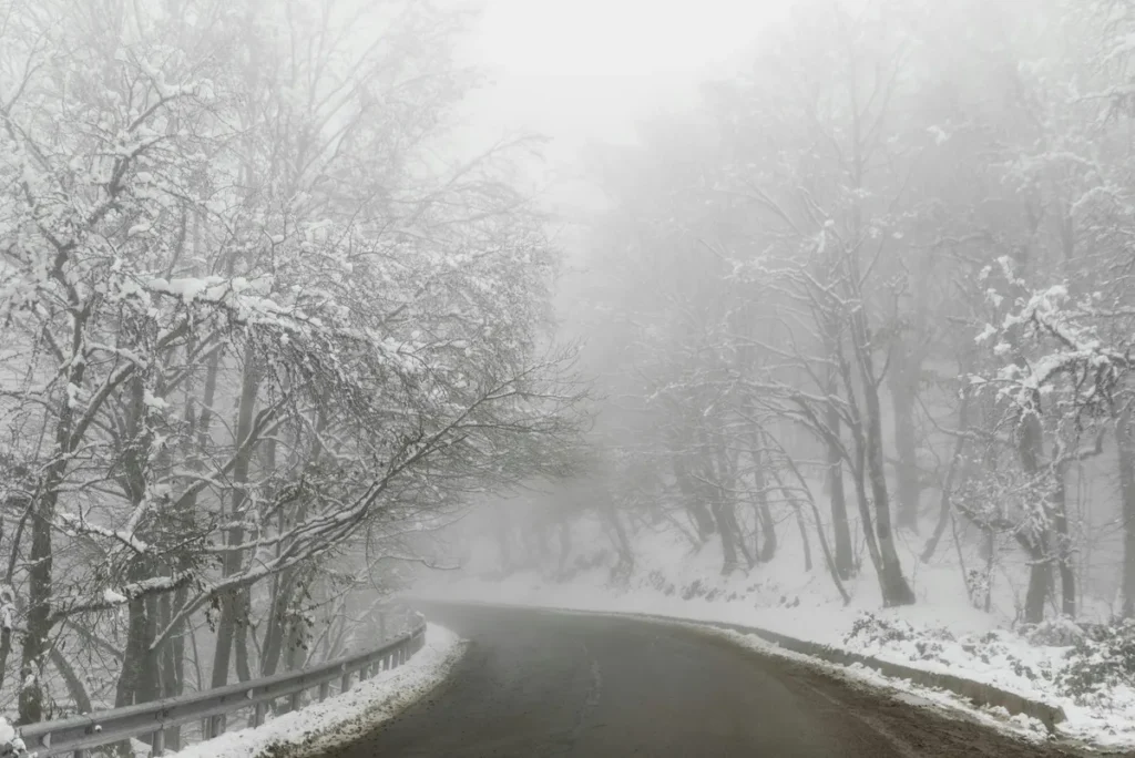 A peaceful winter scene along the Delhi to Nainital highway, with pine trees lining a foggy, snow-covered road.