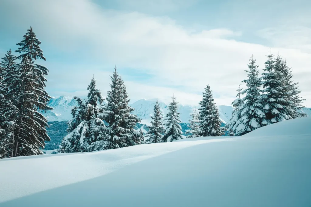 Snow-covered trees and winter landscape in Nainital during peak snowfall season