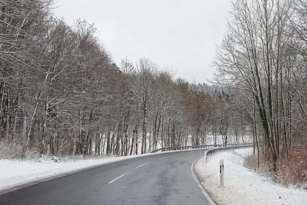 Snow-covered road to Nainital surrounded by winter trees.