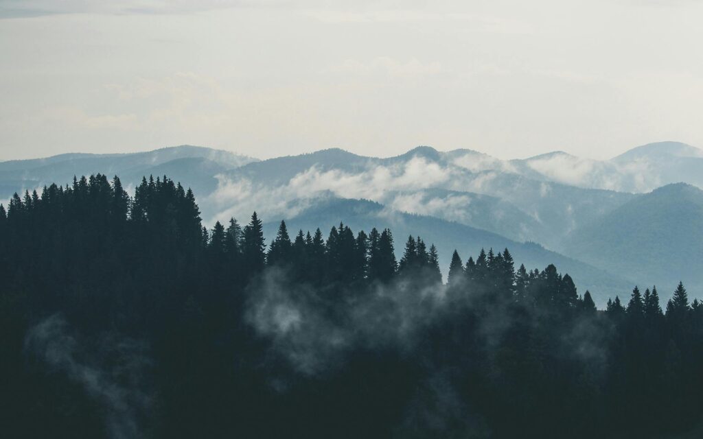 Morning mist rolling over pine-covered hills in Nainital during February 2026, showing the calm, cool, and peaceful winter weather typical of the Himalayas.