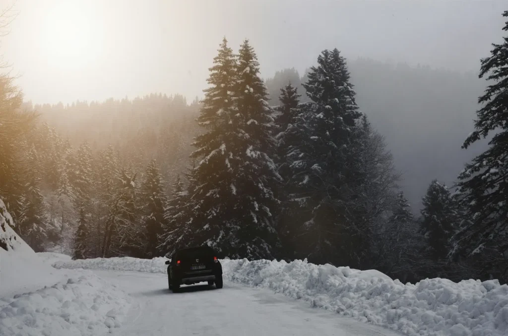 Car driving through a snow-covered road surrounded by pine trees during winter in Nainital, Uttarakhand — capturing the serene snowy landscape featured in the Snowfall Prediction in Nainital 2026 guide.