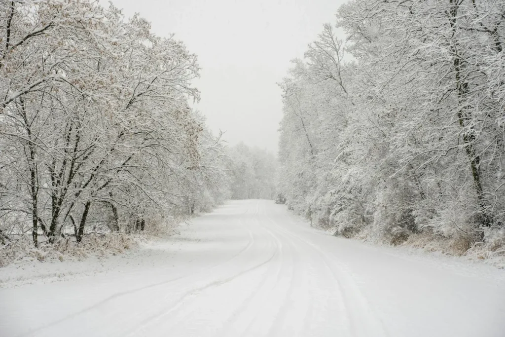Snow-covered road surrounded by winter trees in Nainital in January.