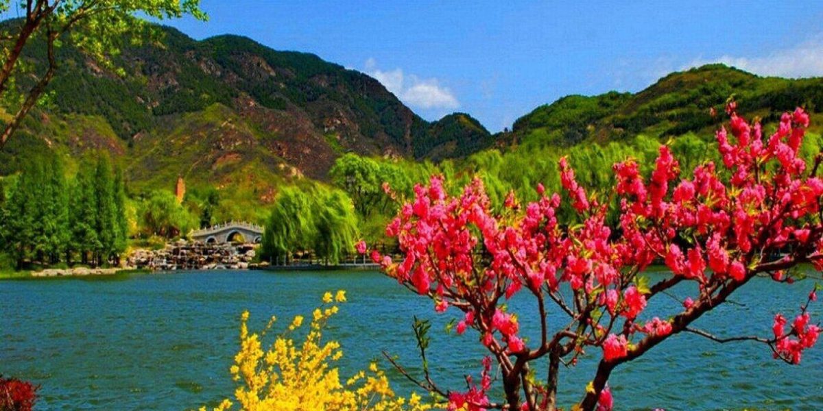 "Perfect holiday scenery in Nainital, Uttarakhand - serene Naini Lake reflecting towering mountains, lush pine trees, and vibrant wildflowers along the shoreline"