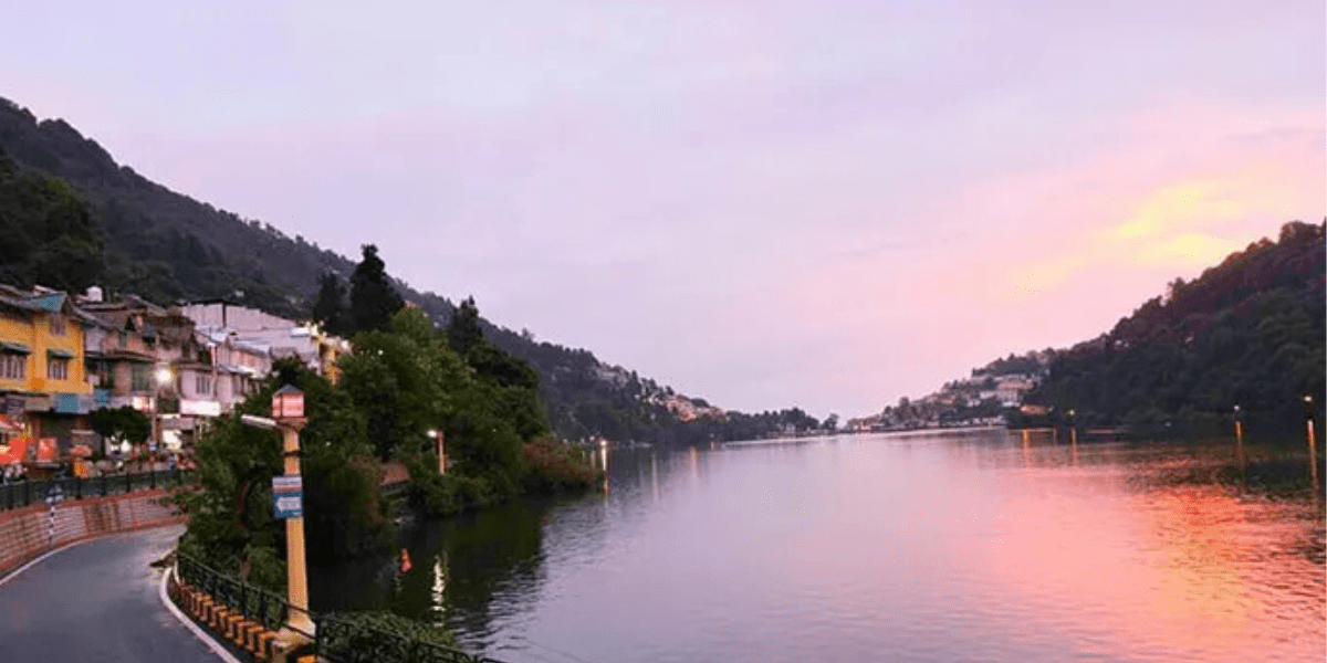 "A close-up of a wet feather lying on moss-covered rocks, with misty hills in the background, captured during Nainital’s monsoon season."