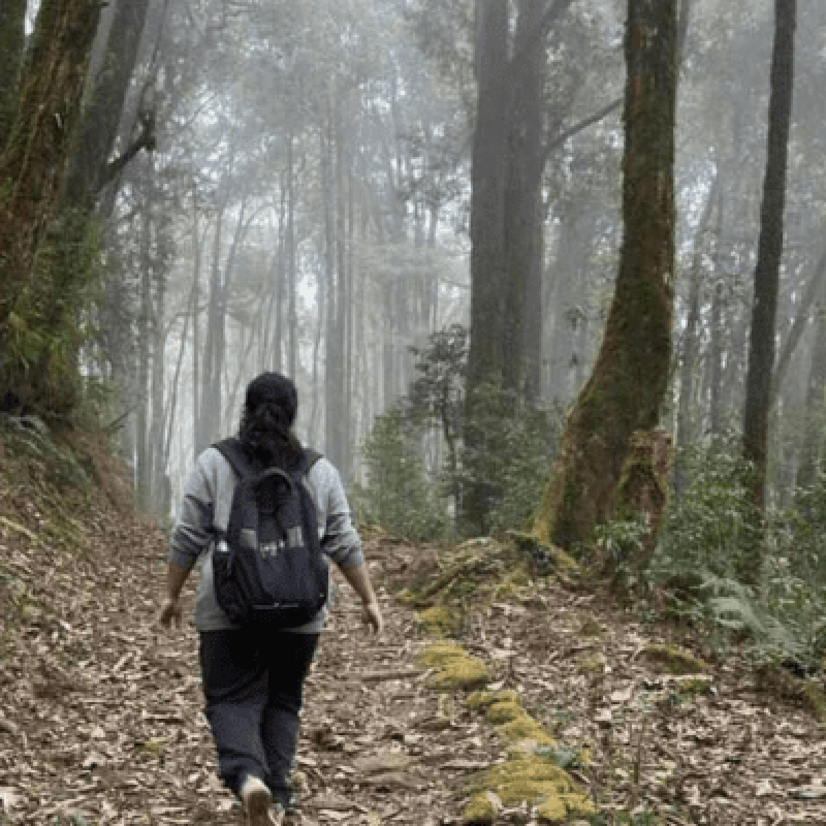 Untitled design (81)