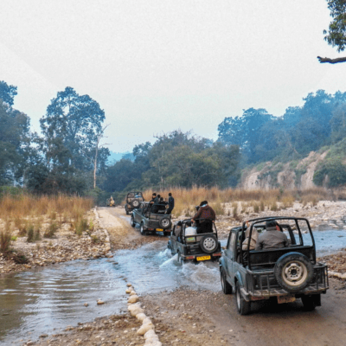 Jim Corbett jeep safari. Affordable Nainital and Corbett 3N/4D tour package