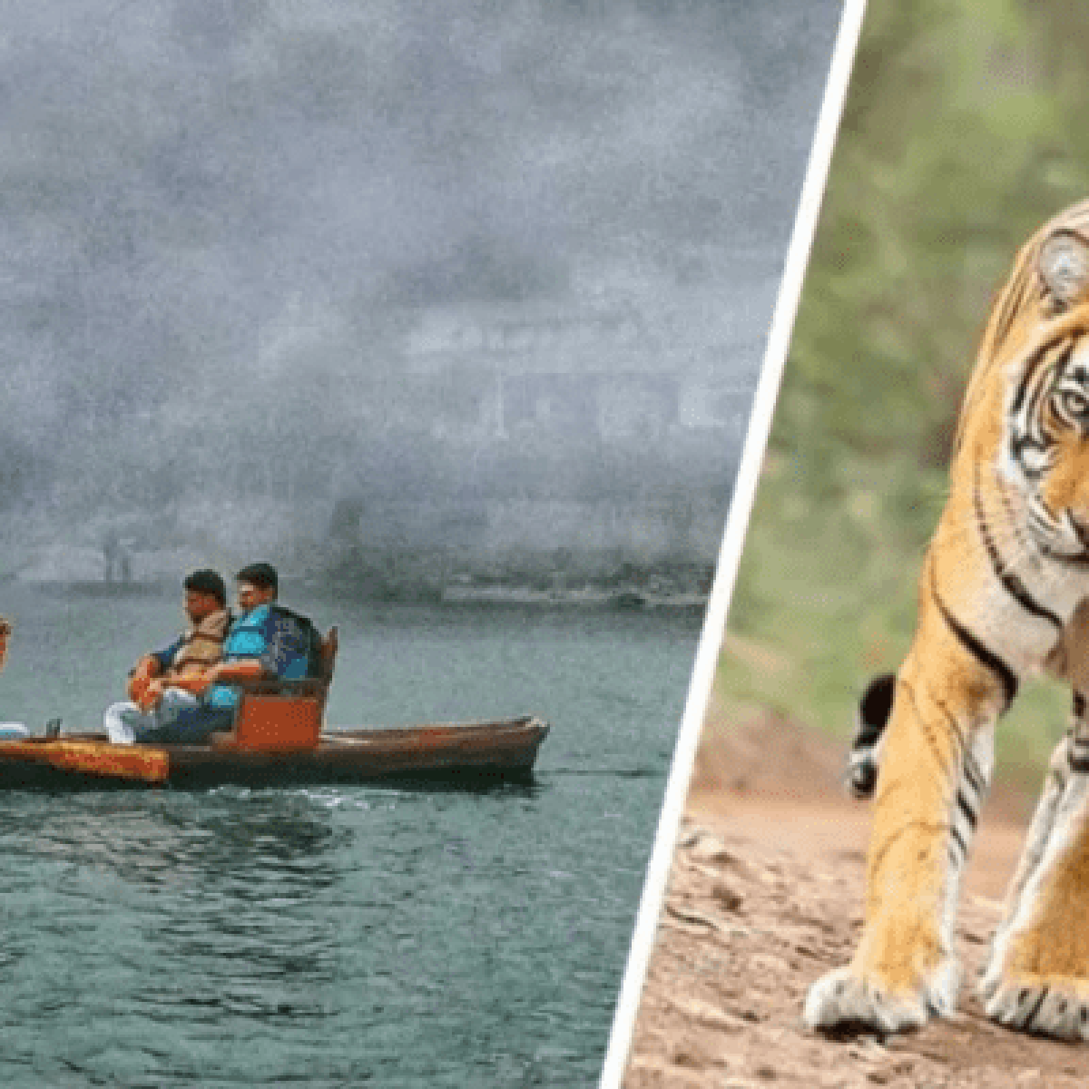 Customizable Nainital and Corbett tour – Tailored 3N/4D package with flexible itinerary